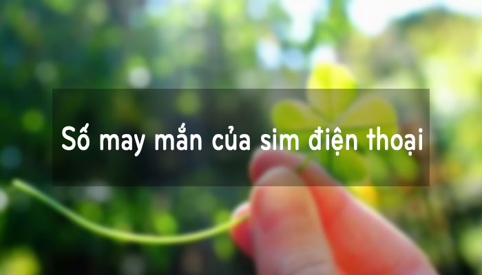 định giá sim điện thoại 